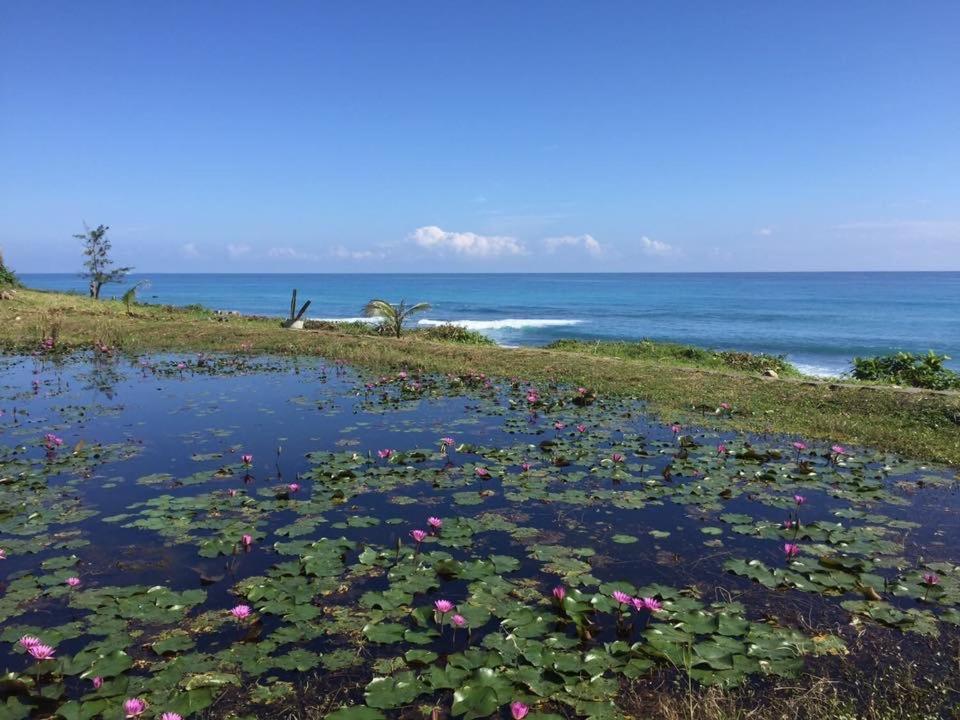 Horizon 180 Sea View Homestay Yanliau Exterior foto